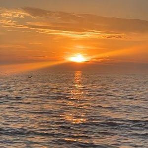 Meet your Posher, Katerina